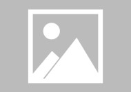 金年会APP-拜仁慕尼黑-击败里昂，晋级欧冠半决赛的简单介绍