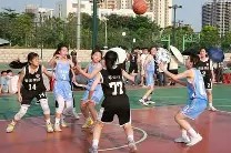 金年会平台-竞技场视频