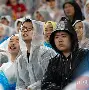 关于雄鹿队巨星受伤，球迷担心大战前景的信息