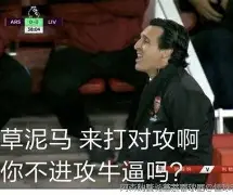 关于埃梅里最新消息：维也纳失利不影响阿森纳的信心的信息
